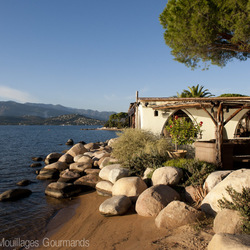 Square photo restaurant en bord de mer1